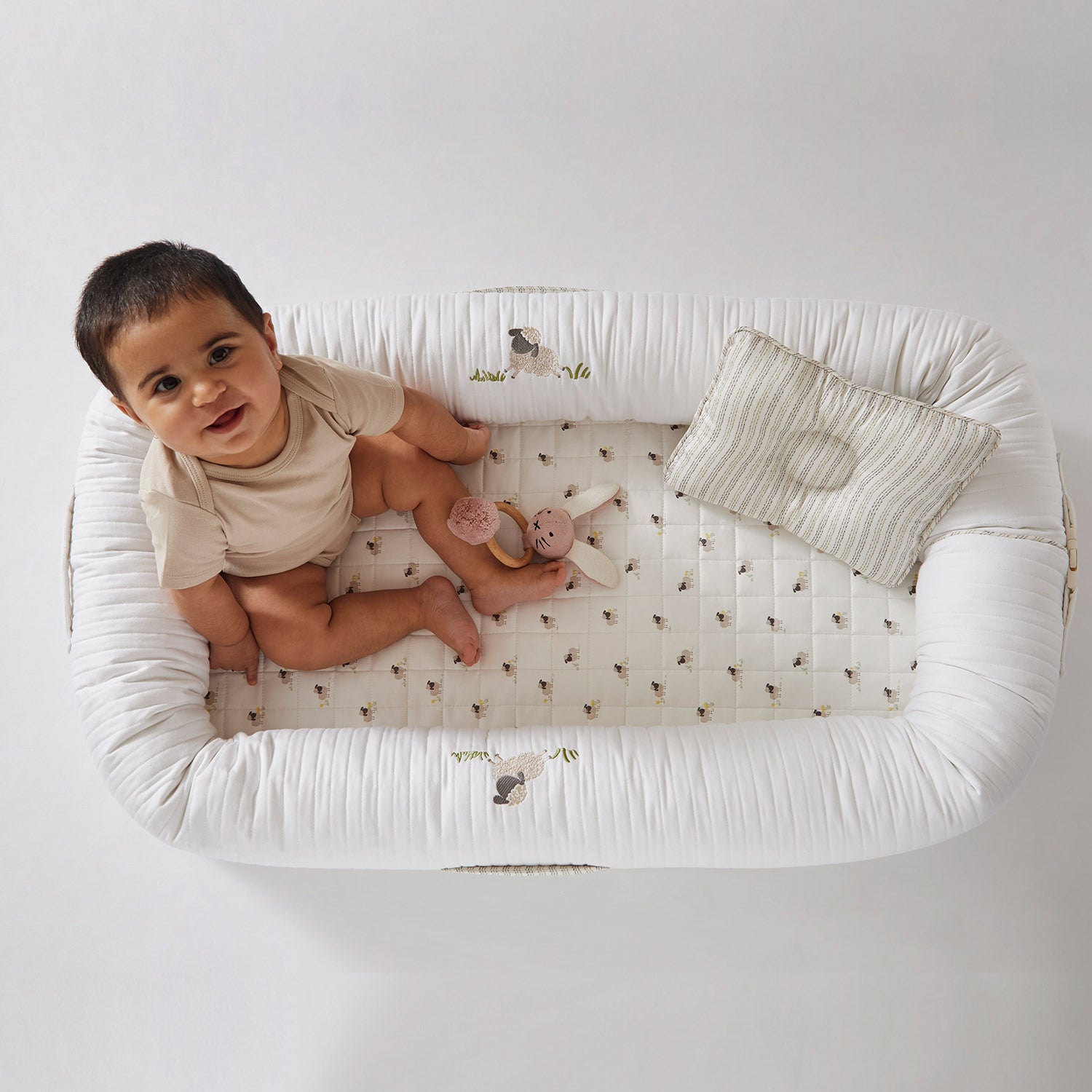 Sheep Newborn Baby Nest