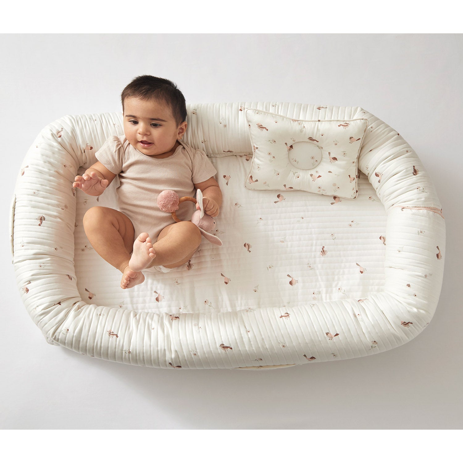 Bird Newborn Baby Nest