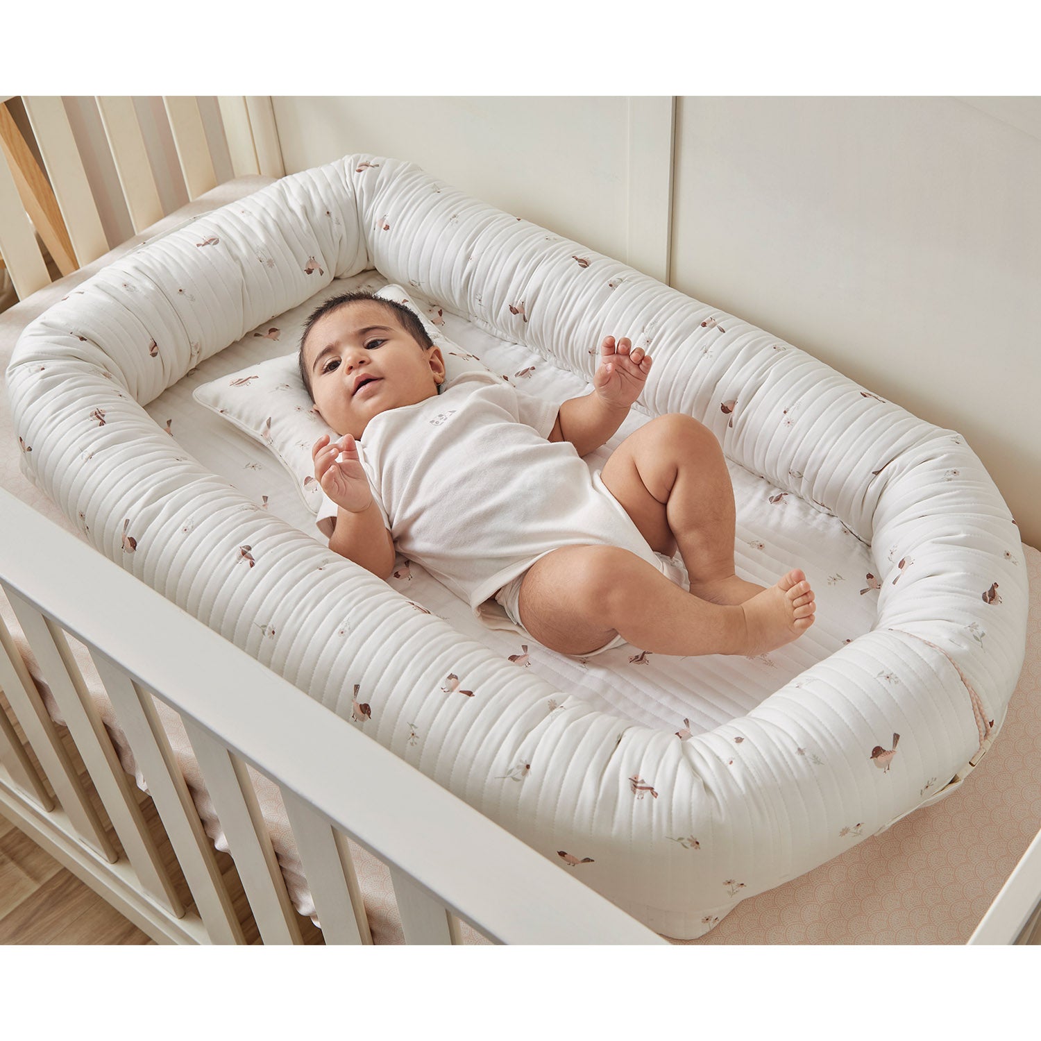 Bird Newborn Baby Nest